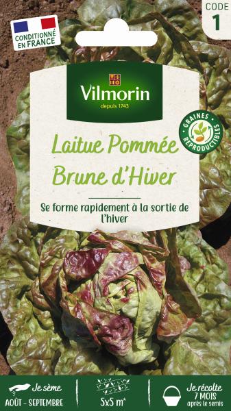 Potagères - Laitue d'Hiver Brune d'Hiver - face recto